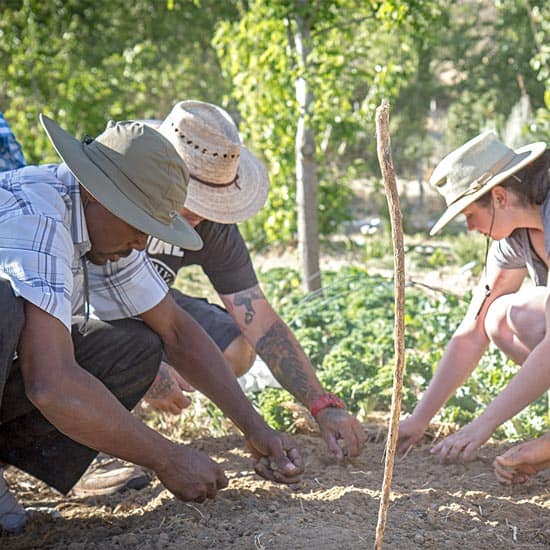 Permaculture Farm Work Trade Opportunity