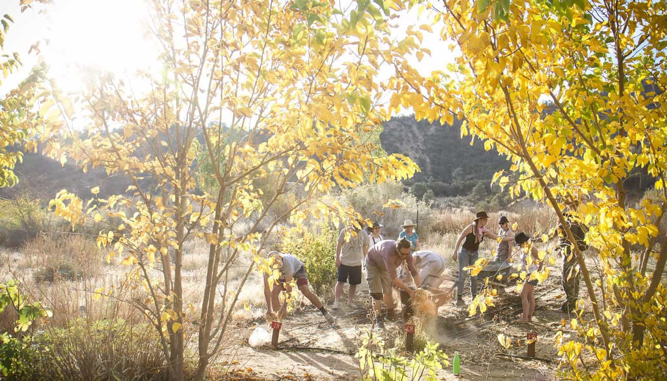 Working in the Quail Springs garden