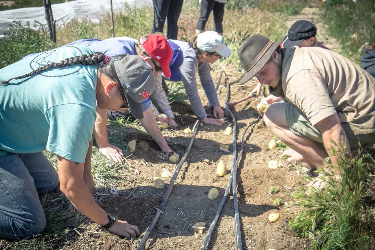 Local residents learning in the Quail Springs garden