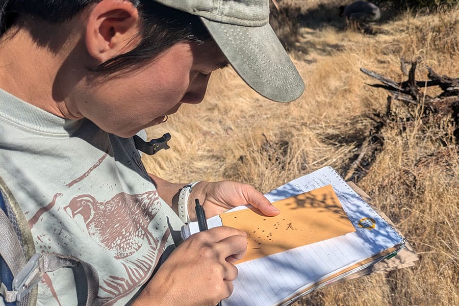 Conservation in the Cuyama Valley - Amy looking at seeds