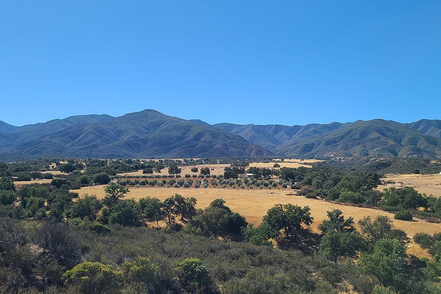 Conservation in the Cuyama Valley - View of Condor's Hope